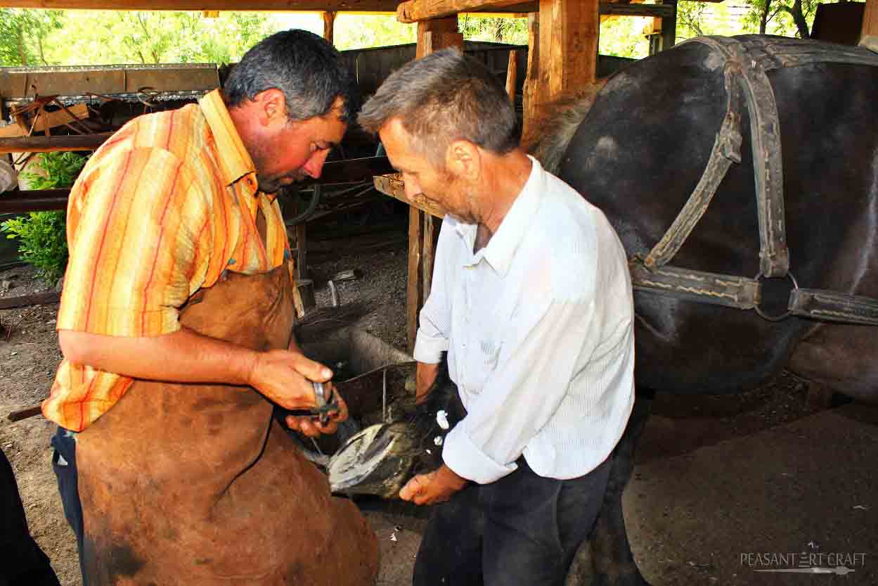 Horse Shoeing Blacksmith in Old Style Village Workshop