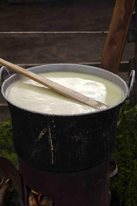 Cheese Making at Traditional Romanian Sheepfold