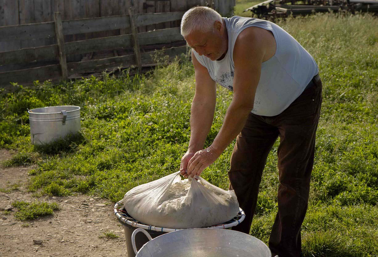 Cheese Production at Traditional Romanian Sheepfold