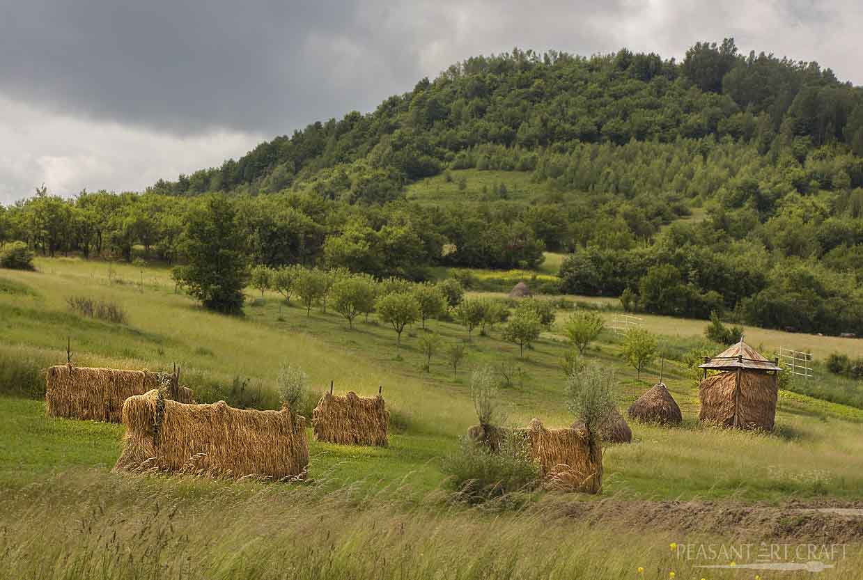 Hay Making in Romania