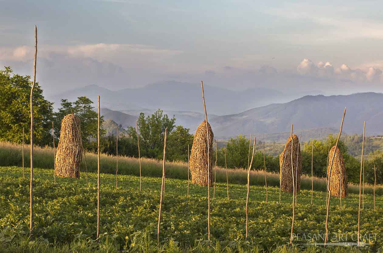 Hay Making Haystacks in Romania