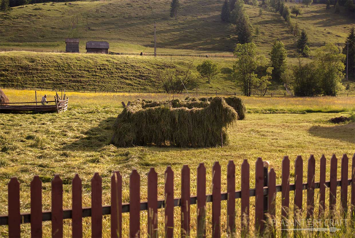 Hay Making Haystacks in Romania
