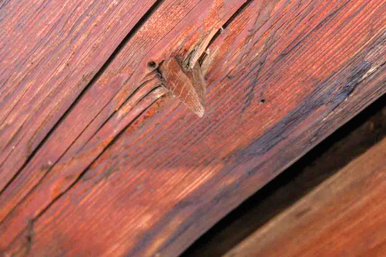 Wooden Nails Used For Traditional House Construction