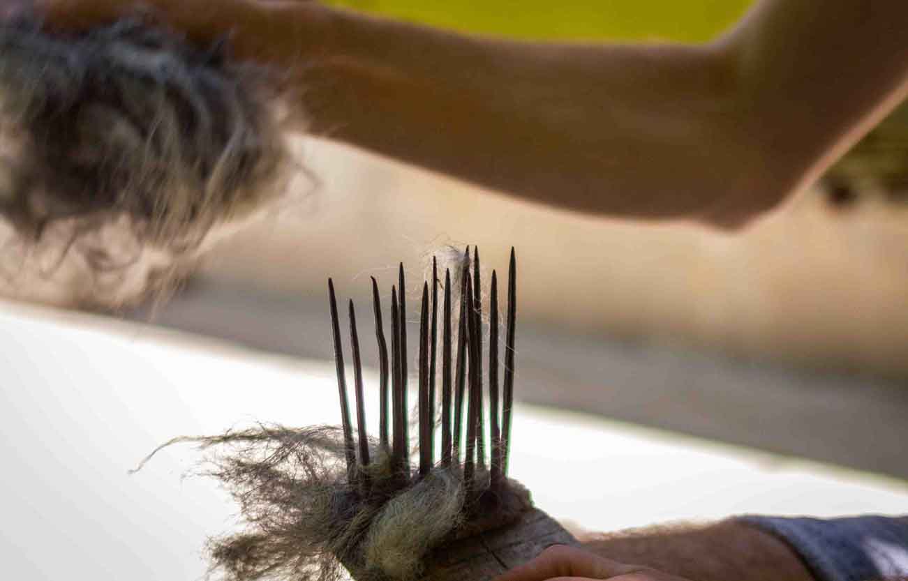 Combing Wool by Hand With Combs