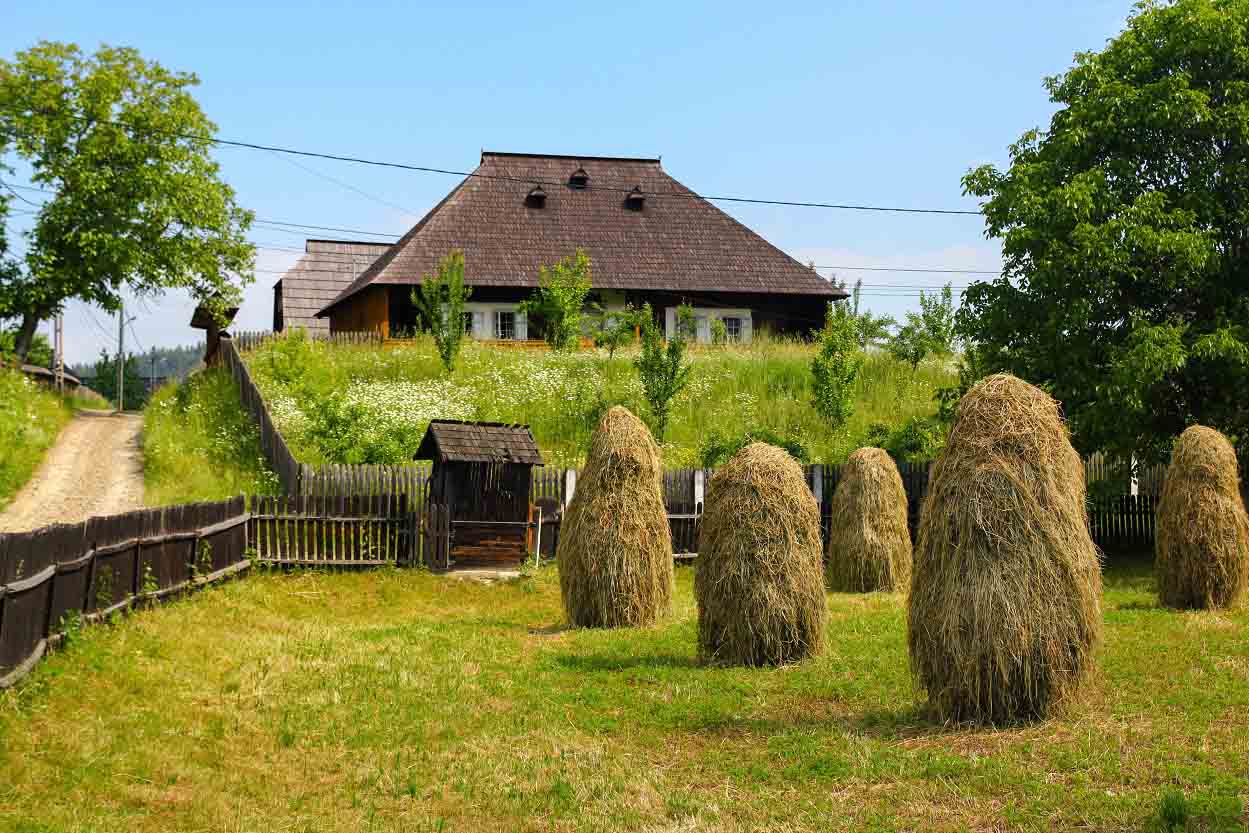 Traditional Agriculture in the Romanian Countryside