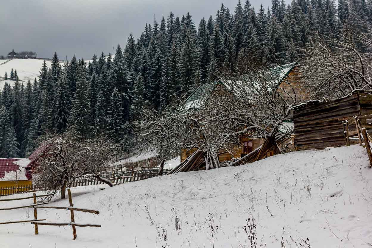 Travel to Bucovina