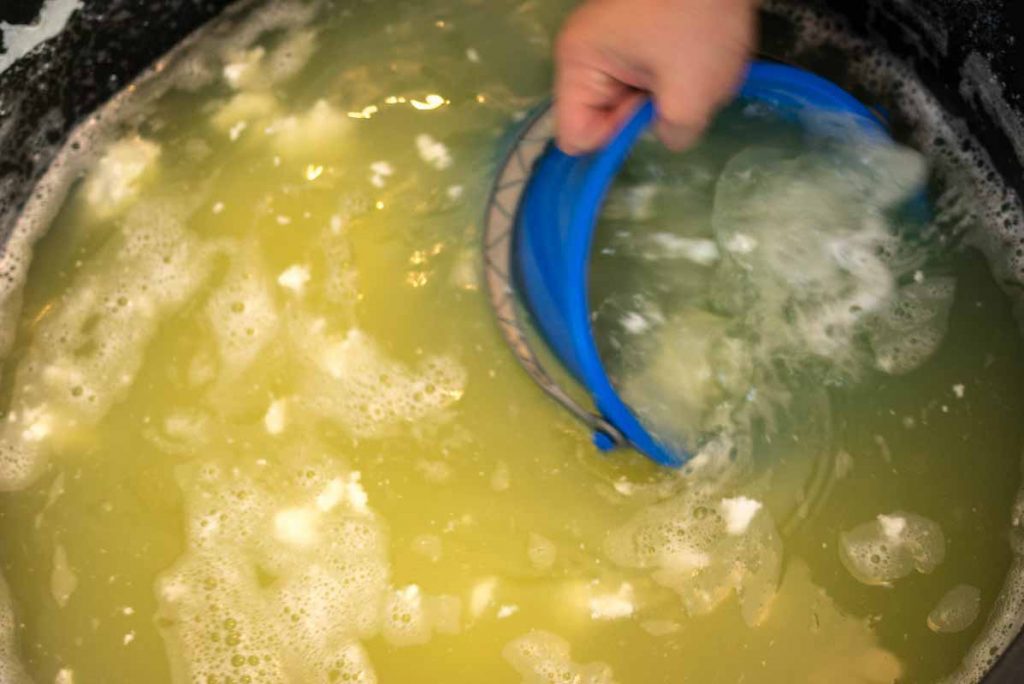 Making Cheese From Fresh Cow’s Milk