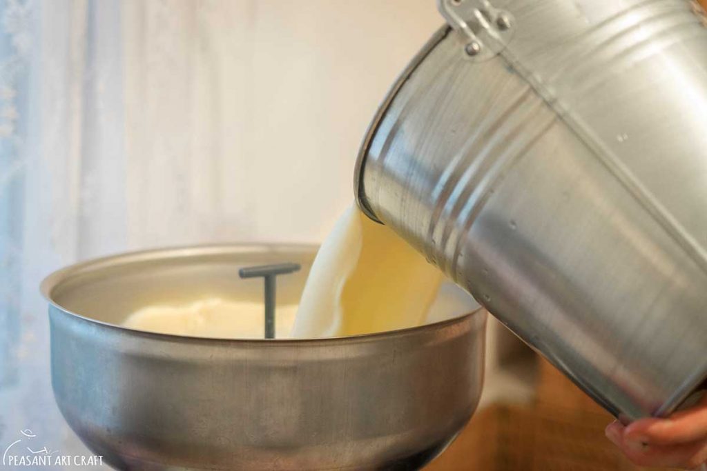 Making Cream From Milk With Cream Separator