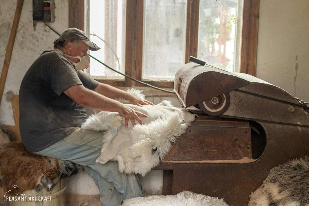 Leather Tanning Process from Sheepskin to Tanned Pelts and Hides