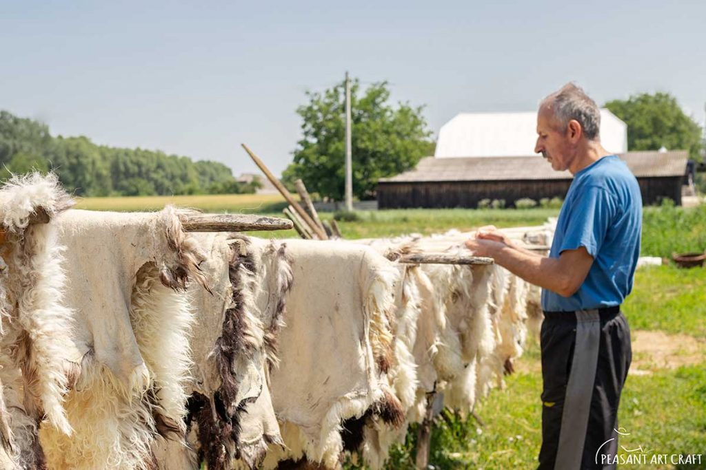 Leather Tanning Process from Sheepskin to Tanned Pelts and Hides