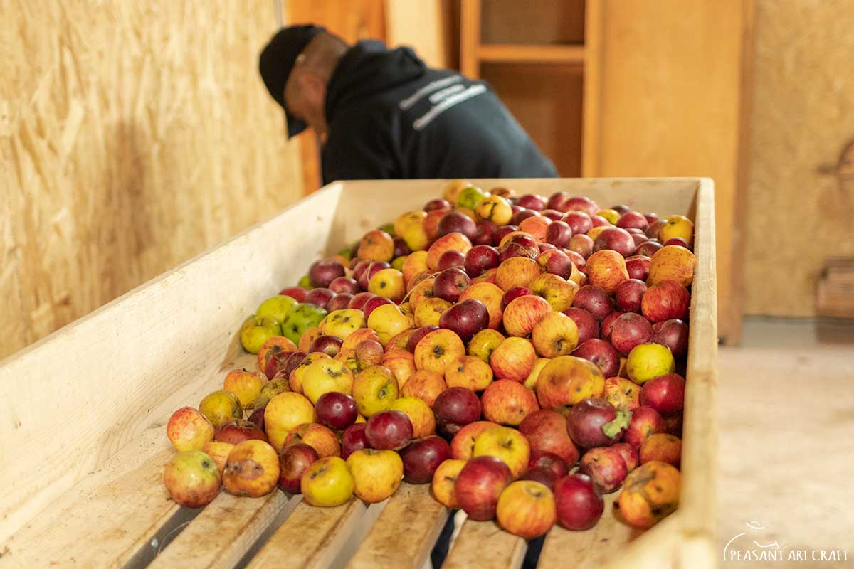 Apple Juice Making