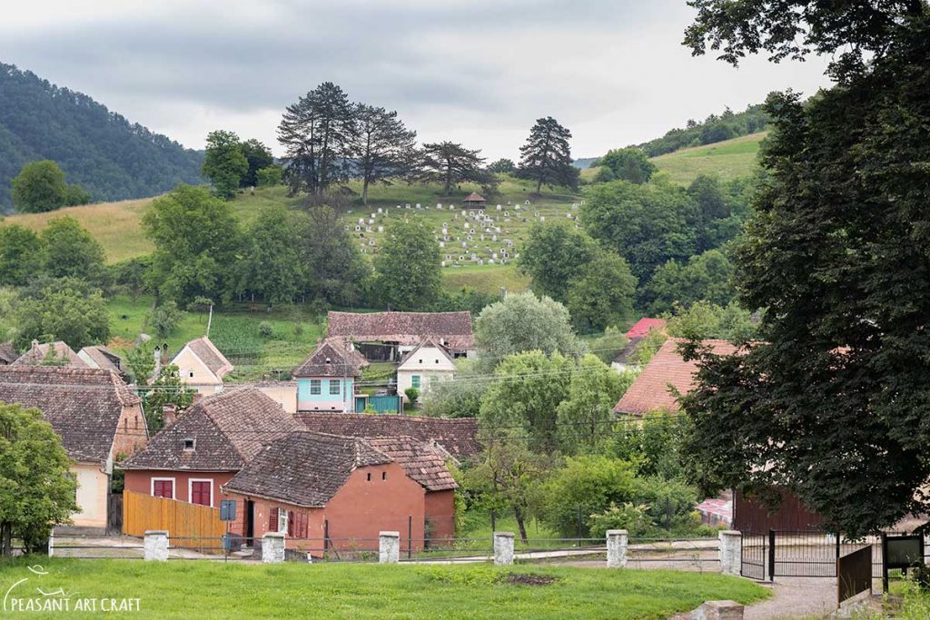 Romanian Cheese Experience at Remote Farm in Transylvania