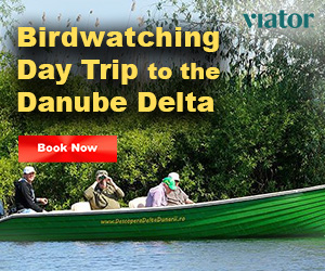 Birdwatching Danube Delta