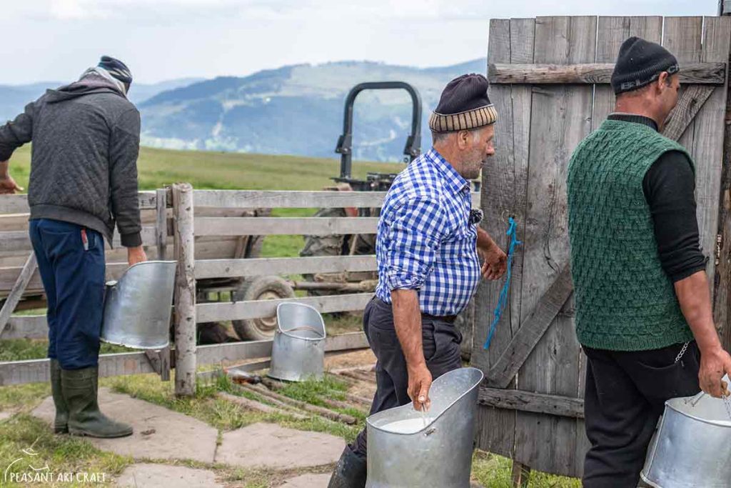 Shepherd Life in Carpathian Mountains